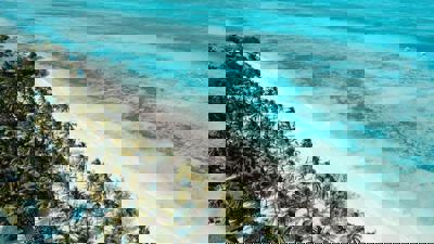 Foto JAZ Elite Aurora ***** Michamvi