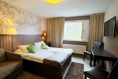 Foto Hullu Poro **** Levi