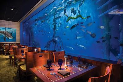 Foto RumFish Beach Resort by TradeWinds *** St. Pete Beach