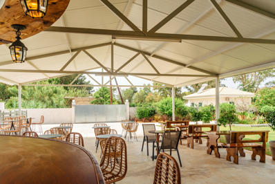 Foto Kamelia *** Agios Georgios South