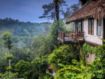 Foto Nandini Jungle Resort en Spa **** Ubud