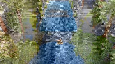 Anathera Resort Kuta