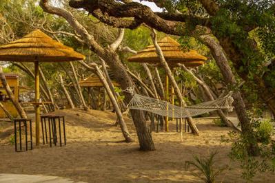 Foto CSA Holiday House Hotel *** Marina Di Bibbona