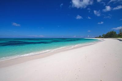 Foto Lodge Bird Island Lodge Bird Island