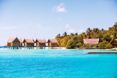 Foto Constance Moofushi ***** Moofushi