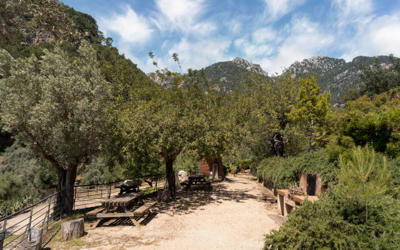 Foto Finca Alfabia Nou **** Bunyola