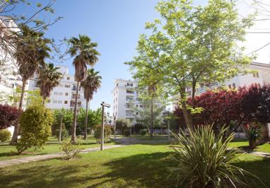 Foto Lime Tamarindos ** Alcudia