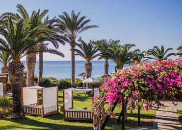 Foto Alion Beach ***** Ayia Napa