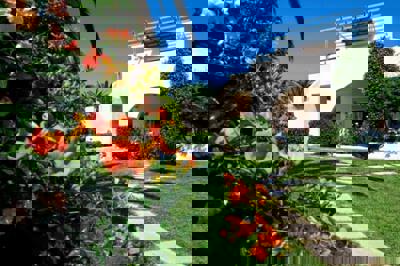 Foto Papadakis *** Georgioupolis