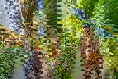 Foto Cross Vibe Paasha Atelier Bali Kuta **** Kuta