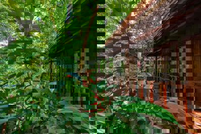 Foto Jaguarundi Lodge *** Monteverde