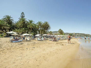 Foto Palm Beach *** Stalis