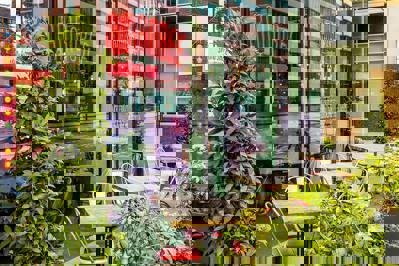 Foto Hotel Novotel Blackfriars **** Londen