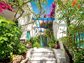 Foto Andreas *** Kamari