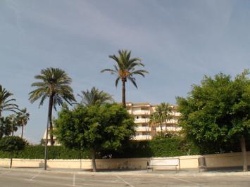 Foto Grupotel Alcudia Suite **** Playa De Muro