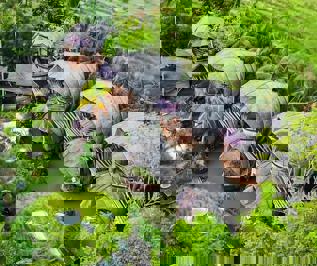 Foto Hotel Ulaman Eco Luxury Resort ***** Mengwi