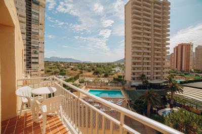 Foto Palm Court ** Benidorm
