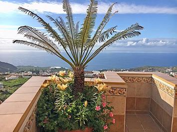 Foto Estrella del Norte Apartamentos *** Icod De Los Vinos