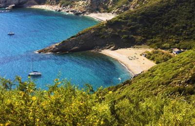 Foto Tenuta delle Ripalte *** Capoliveri