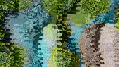 Foto Tabacon Thermal Resort en Spa ***** La Fortuna