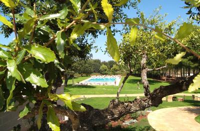 Foto Tenuta Monacelle **** Selva Di Fasano