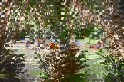 Foto Miami Beach Edition ***** Miami Beach