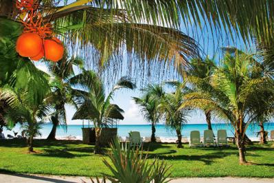 Foto Cote D or Lodge **** Anse Volbert Village