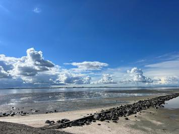 Foto Vakantiepark de Zeeuwse Parel - Tholen **** Scherpenisse