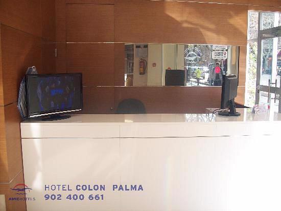 colon-palma