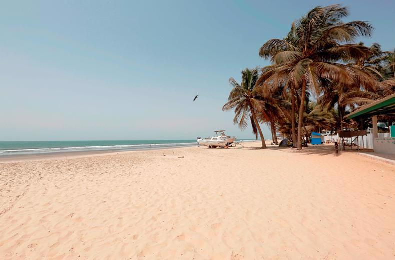 Beach