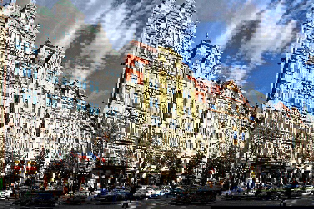 Ambassador Zlata Husa