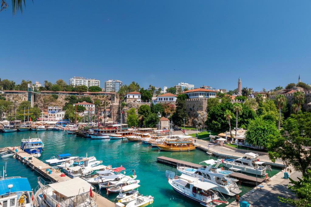 adalya-port