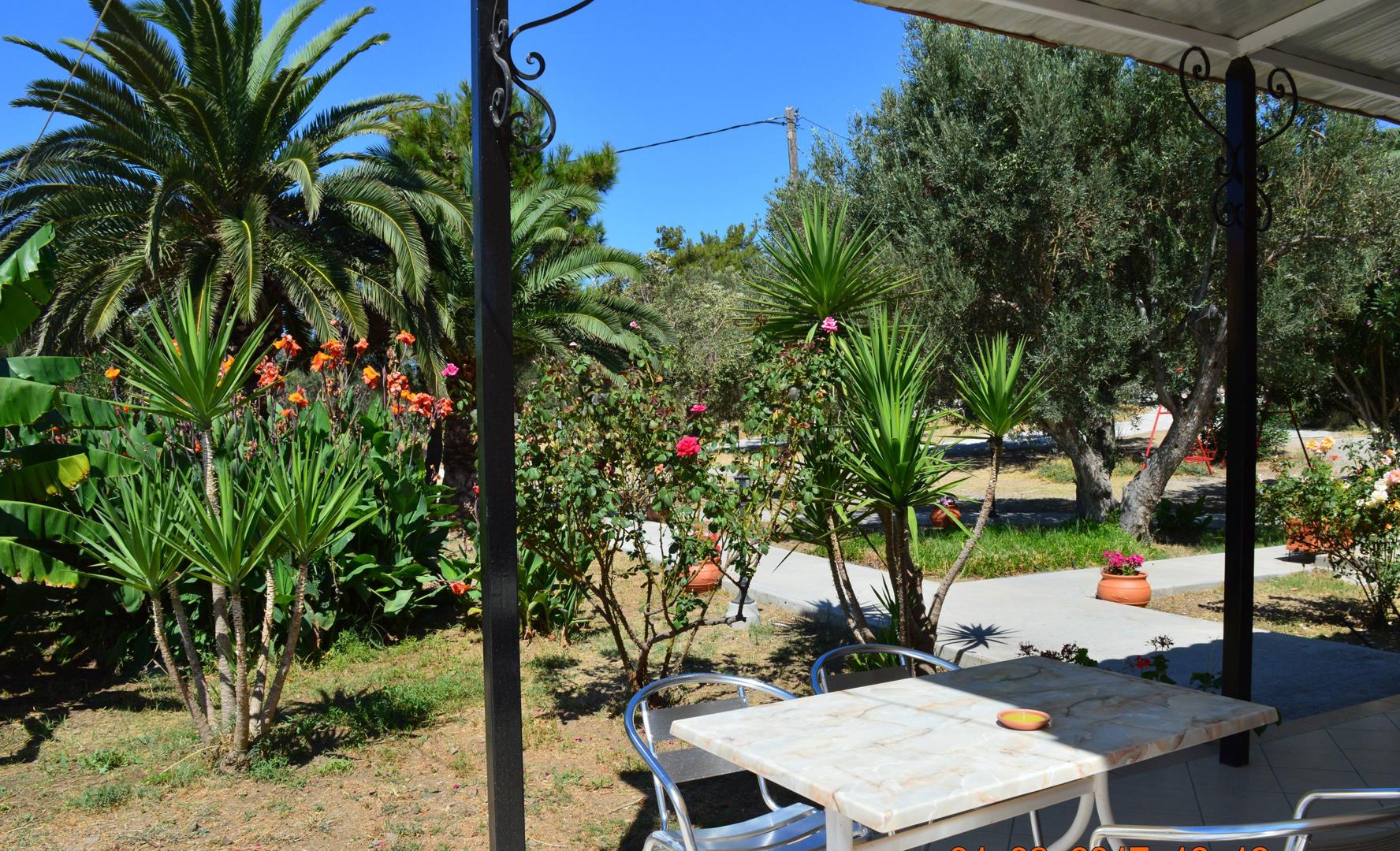garden-view