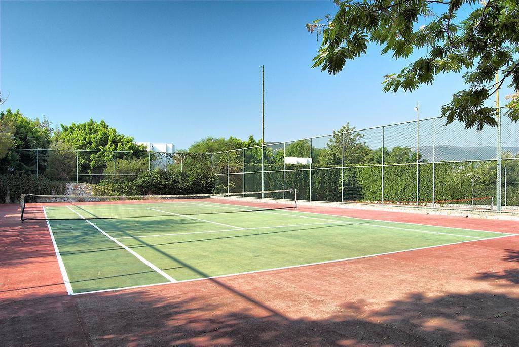 The Norm Collection Doora