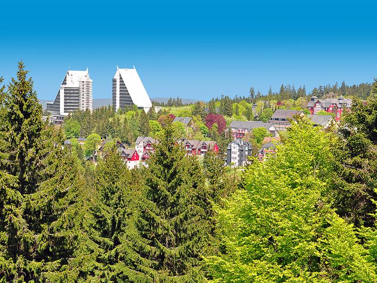 ahorn-panorama-oberdorf