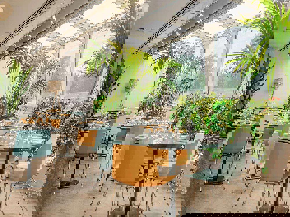 2243911-74052
