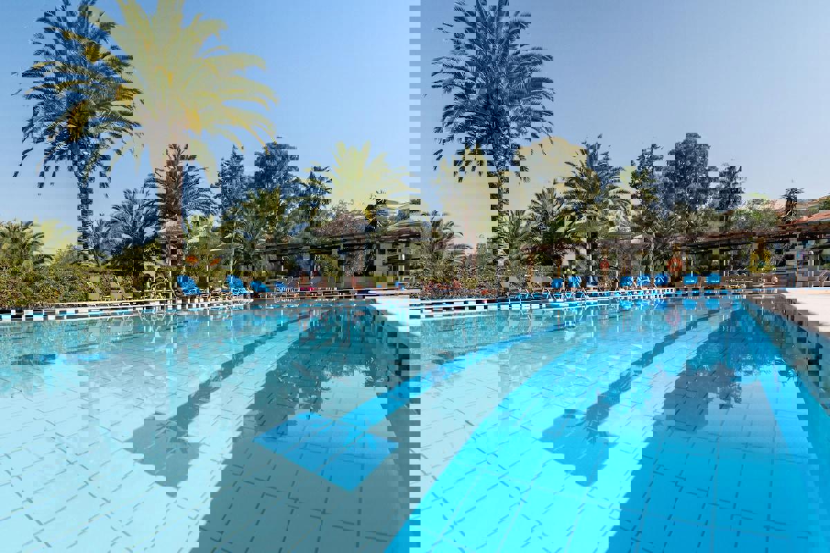 2243911-369068