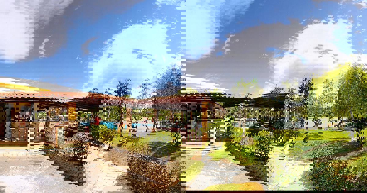 2243911-369068