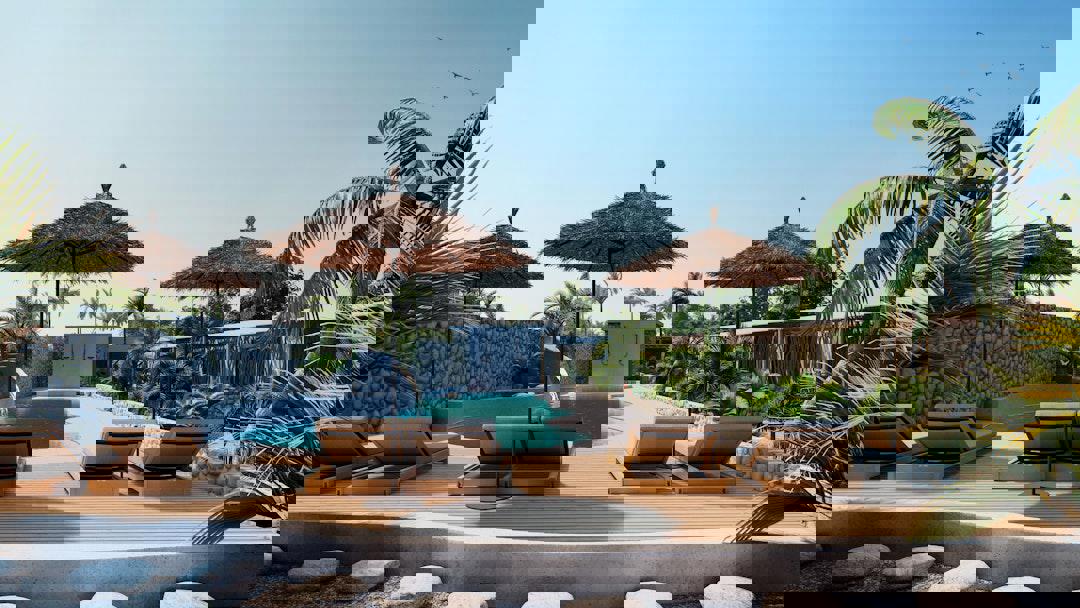 2243911-469529