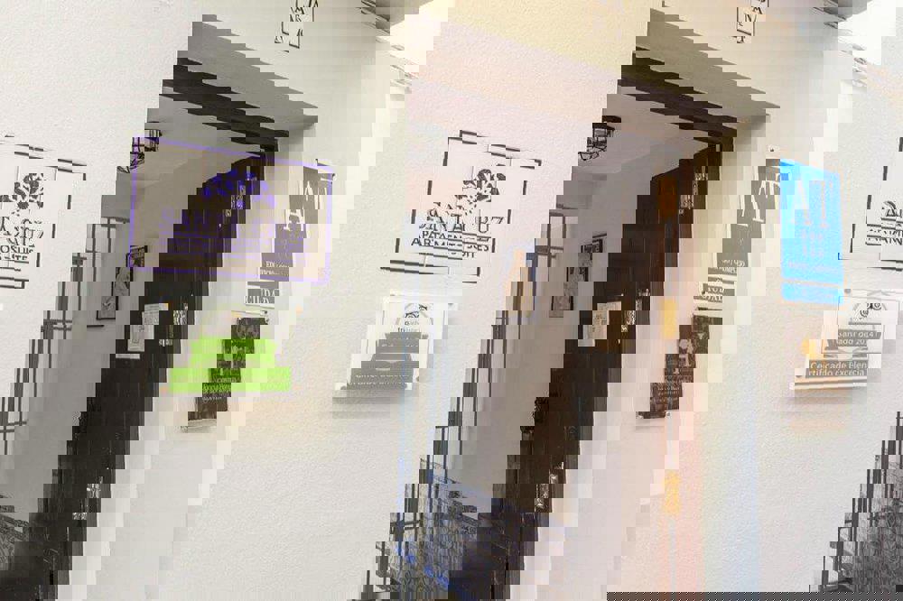 2243911-375337