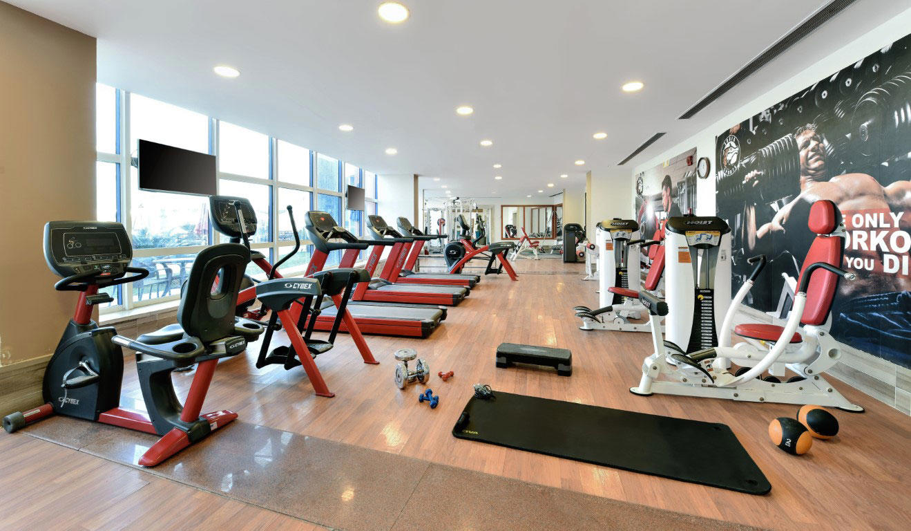 tolip-el-narges-en-spa