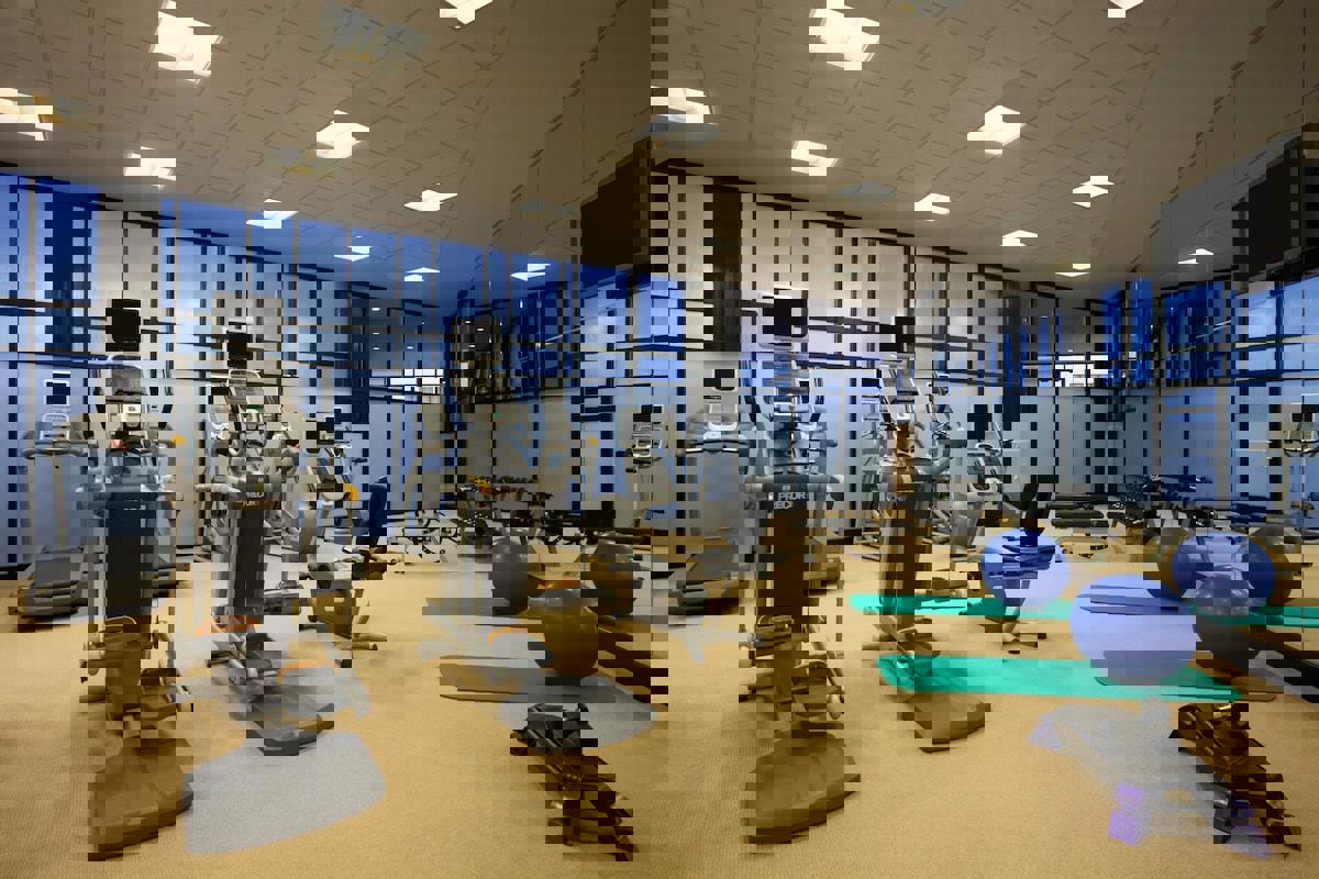 2243911-467351