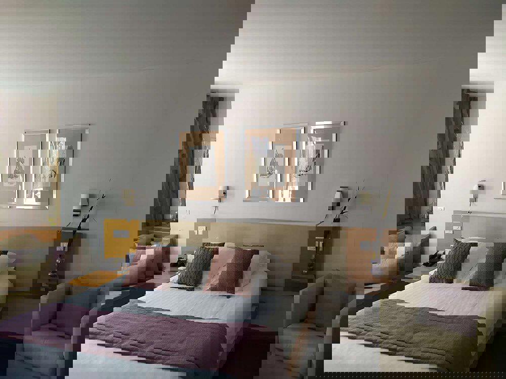 2243911-469353