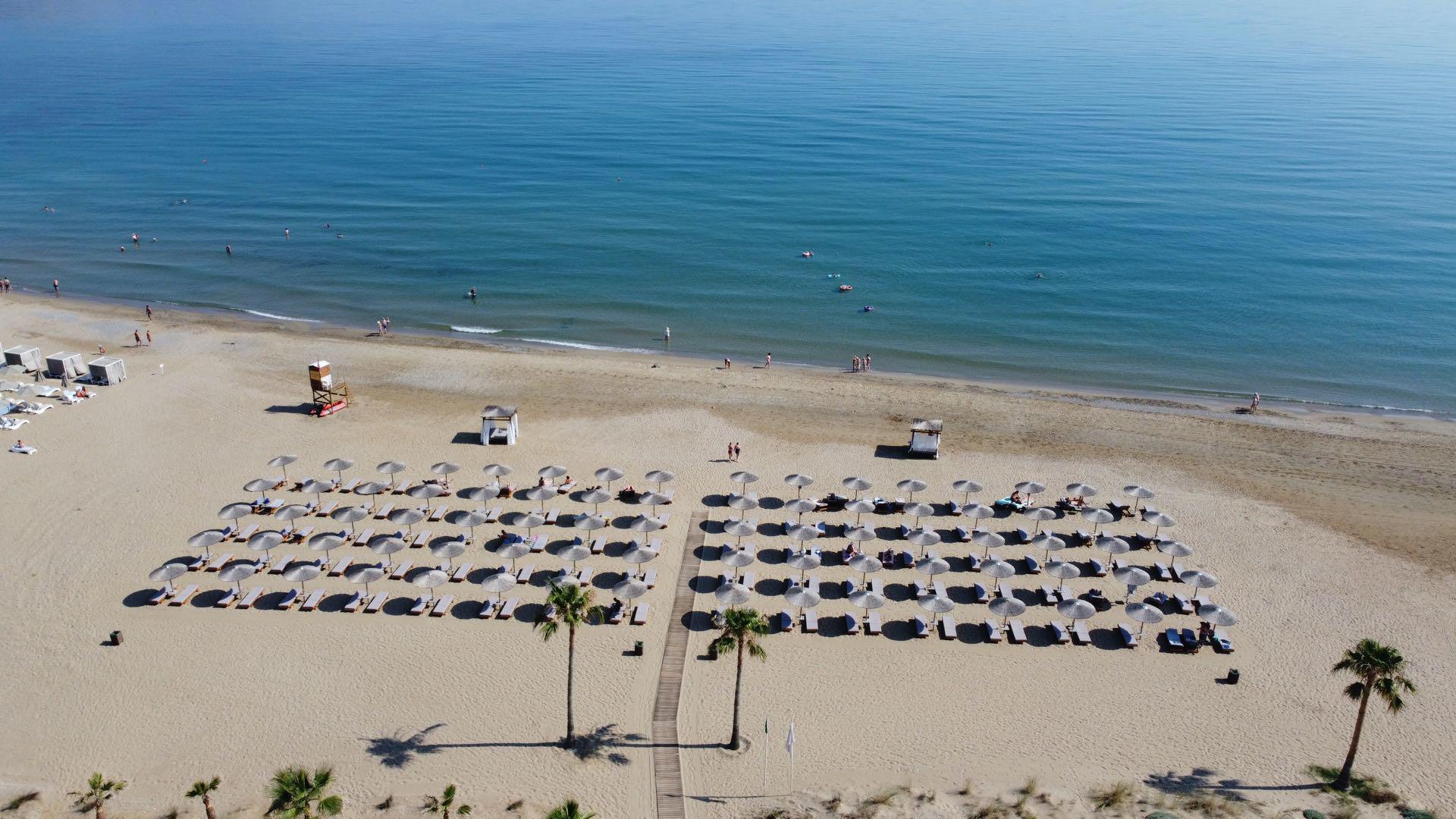 delfina-tropic-beach