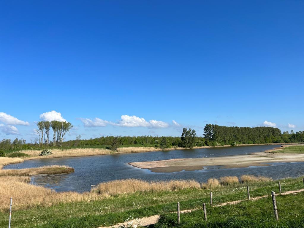 de-zeeuwse-parel-tholen