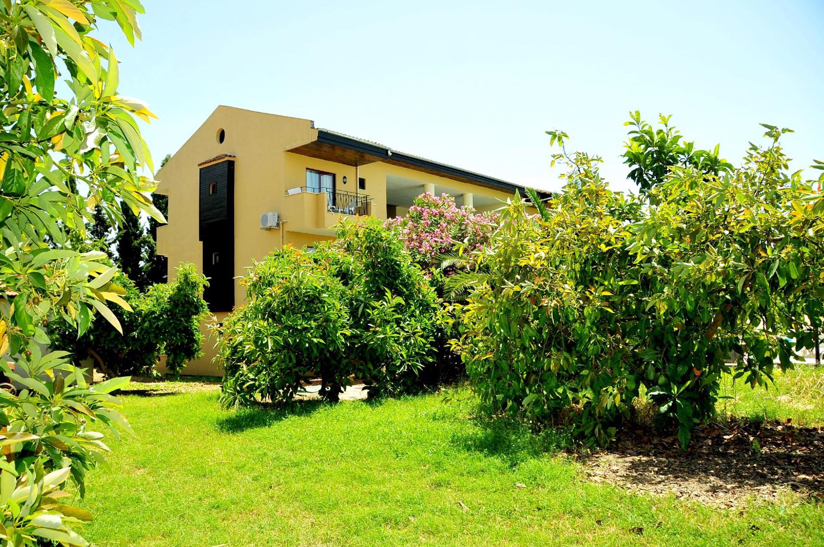 Lemas Suite