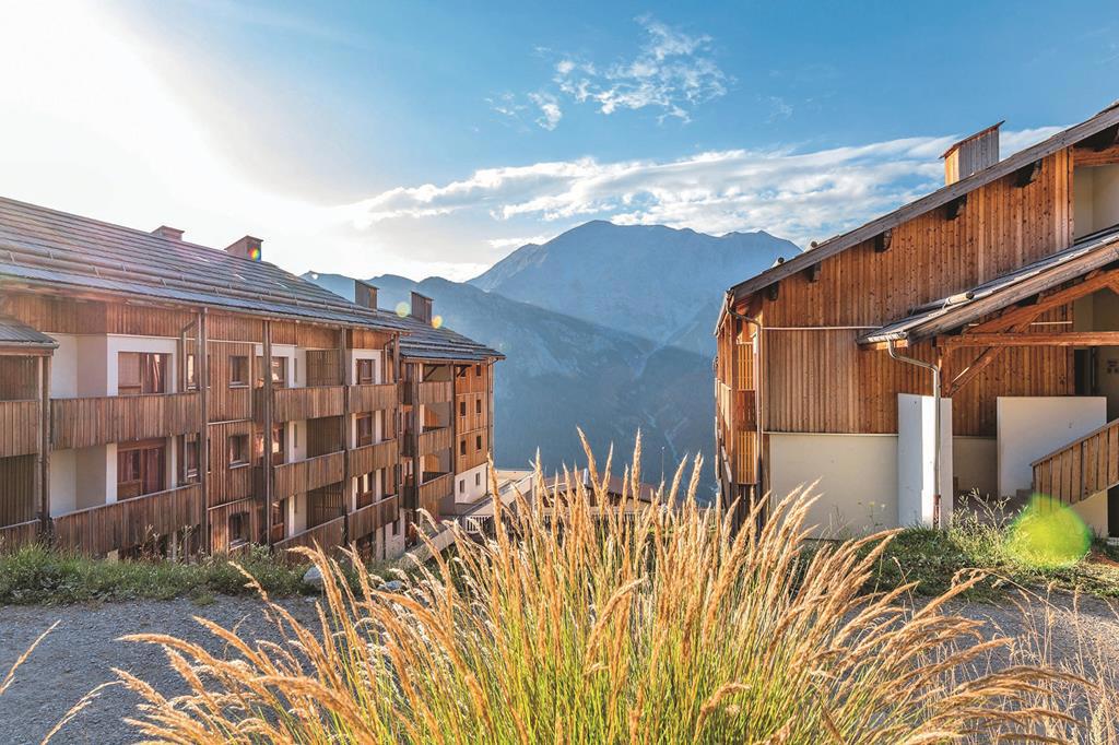 Etoiles D Orion