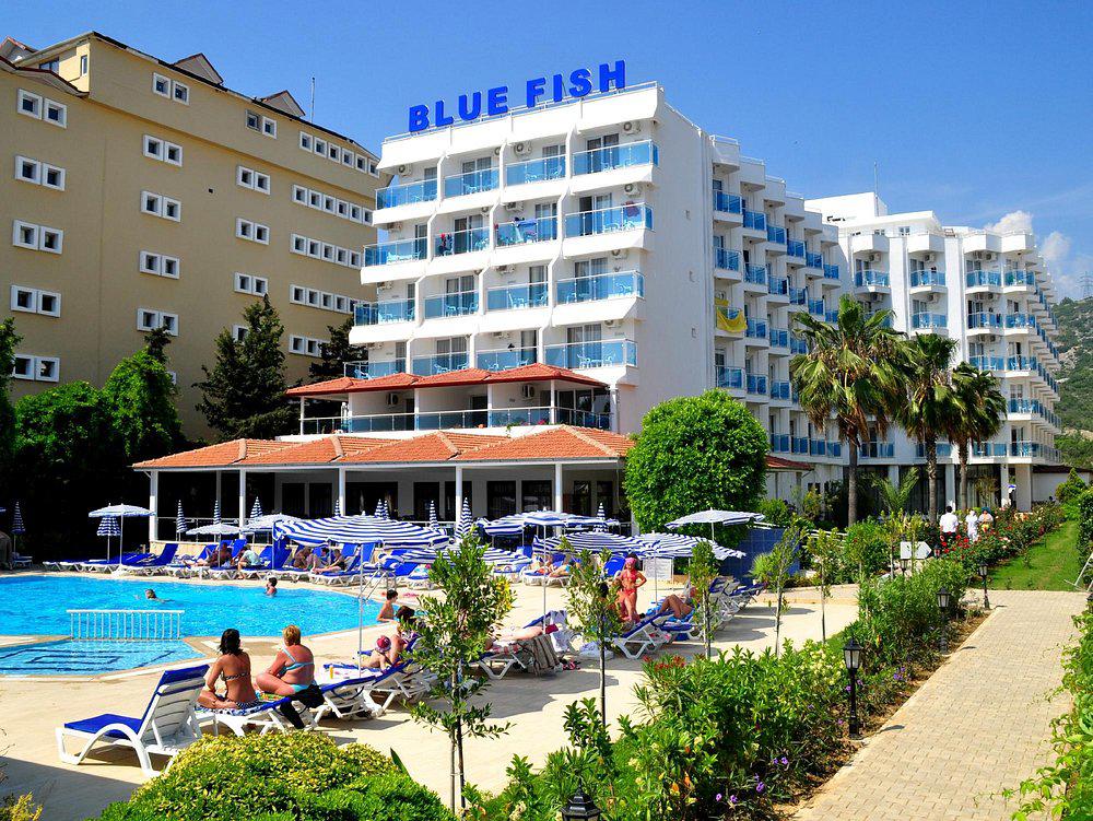 blue-fish