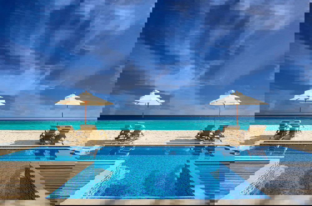 2243911-463199
