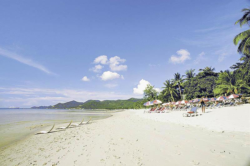 Matcha Samui Resort